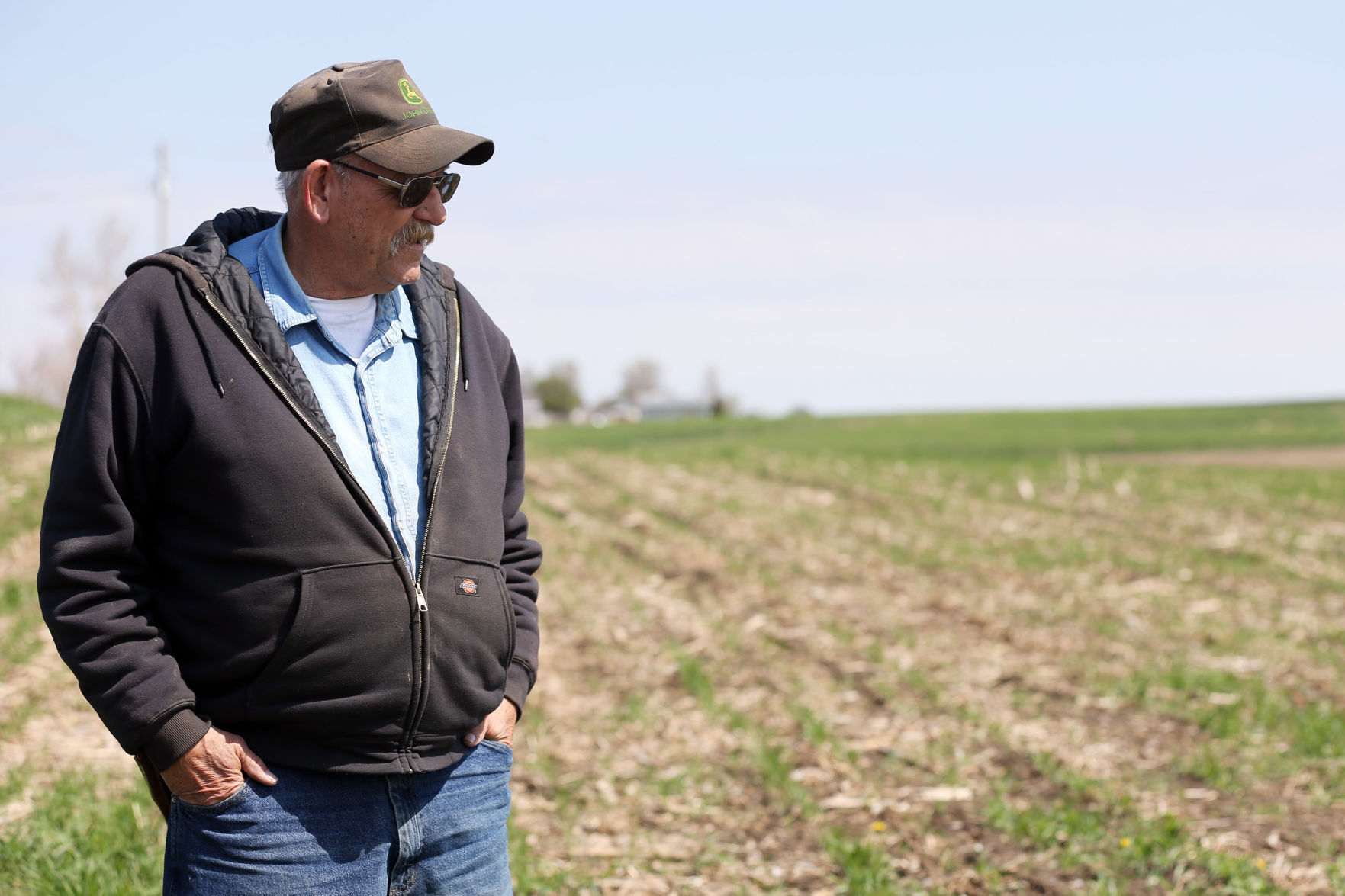 COVERCROPS2.JPG